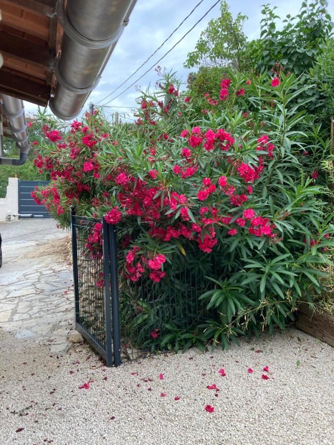Au Coeur De La Pinede De 1 A 4 Personnes Villa Langlade Dış mekan fotoğraf
